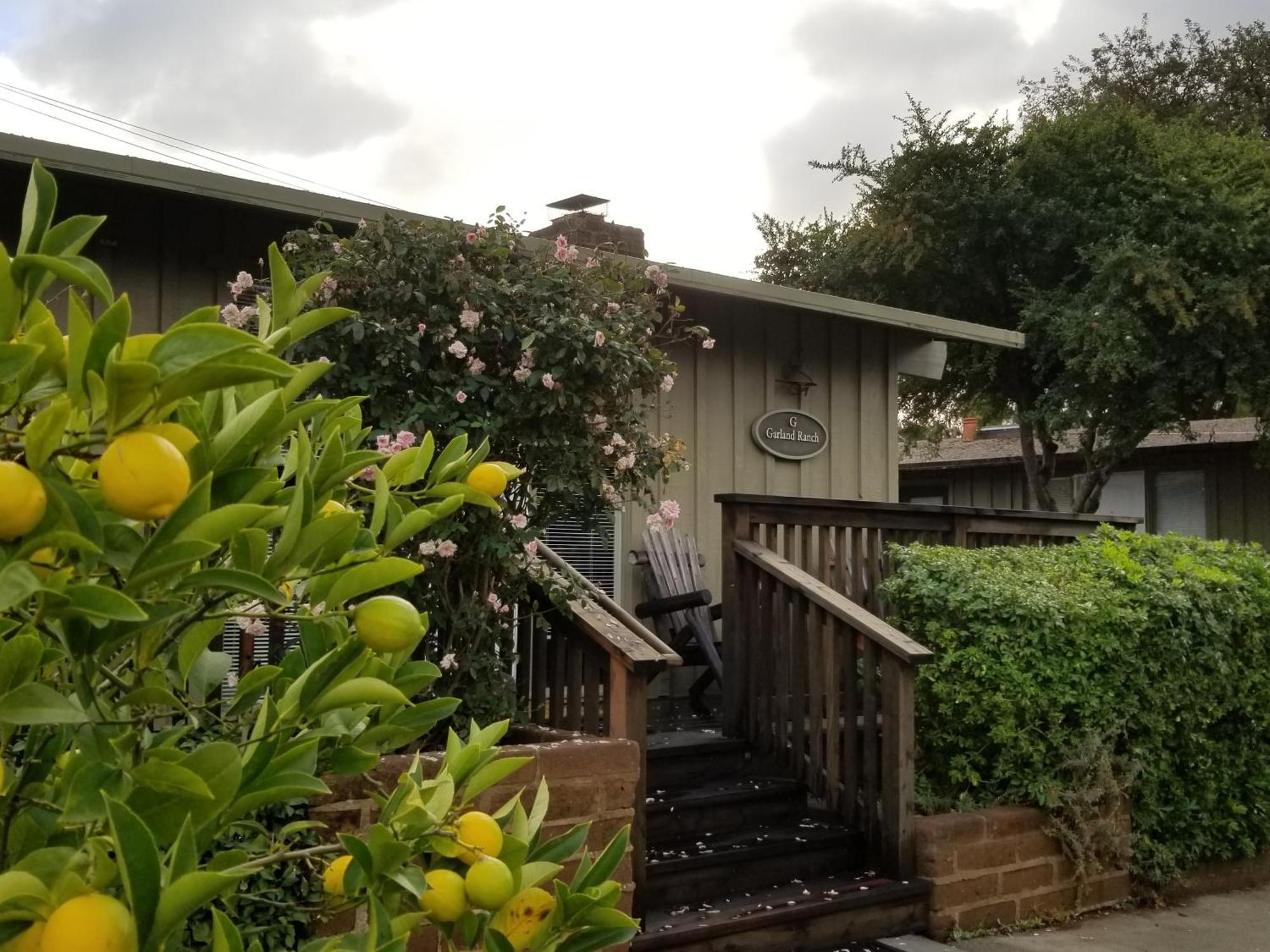 Carmel Valley Lodge Экстерьер фото