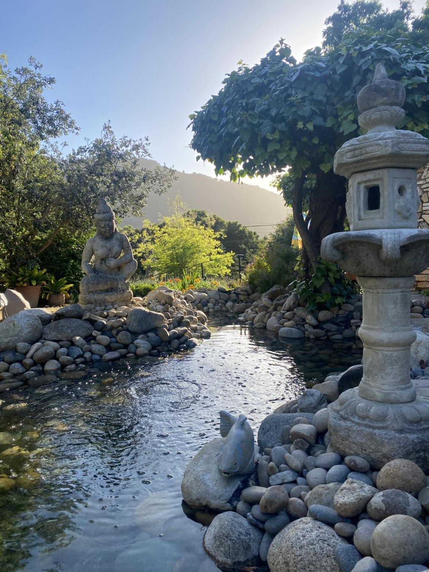 Carmel Valley Lodge Экстерьер фото