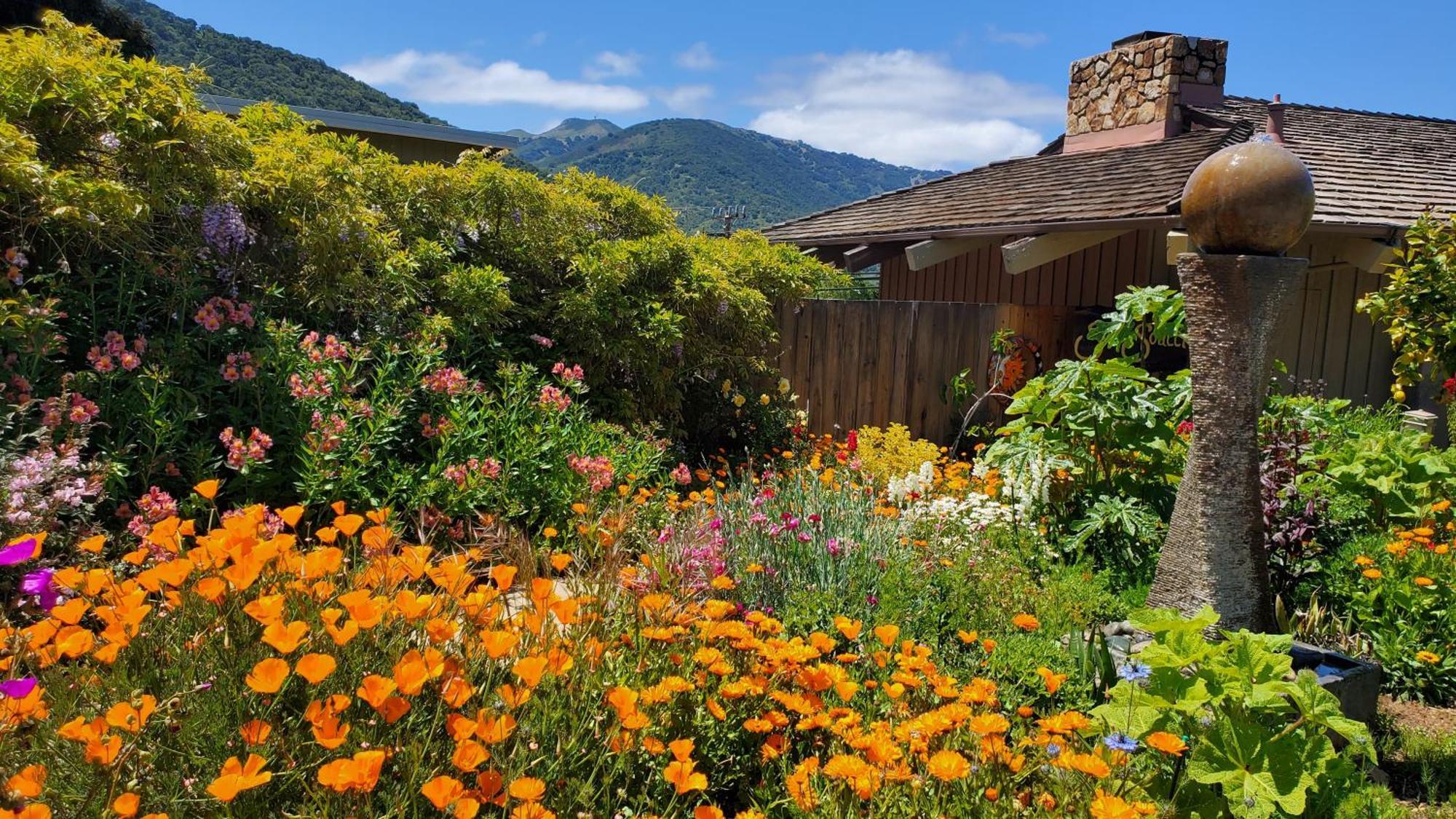 Carmel Valley Lodge Экстерьер фото