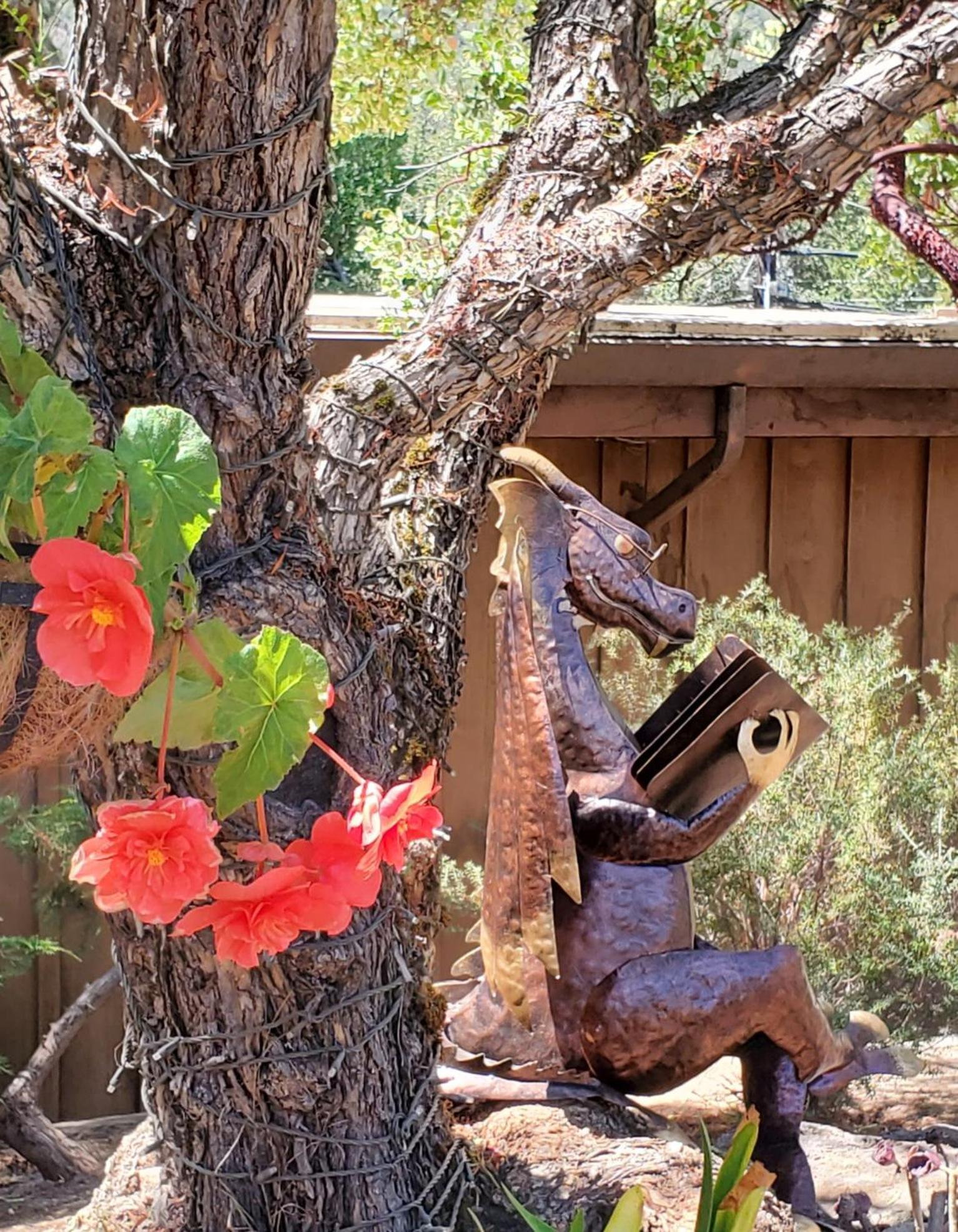 Carmel Valley Lodge Экстерьер фото